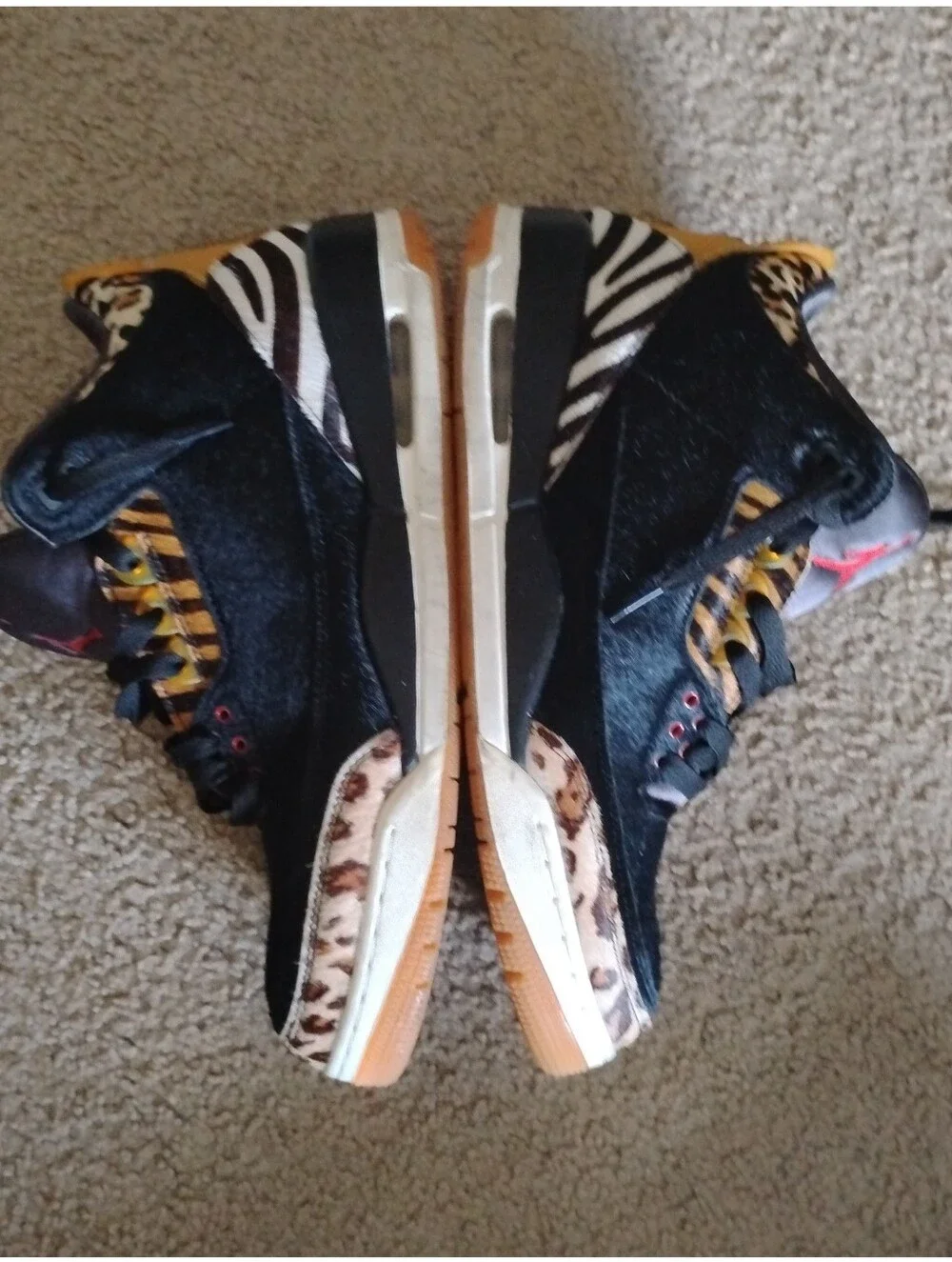 Air Jordan 3 Retro SE 